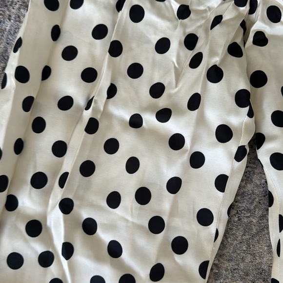 ZARA Polka Dot Silk Dress Pants – NWOT – High Waisted - Picture 3 of 5